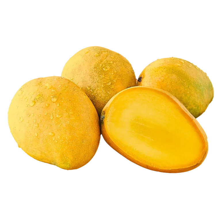 banganapalli-mango